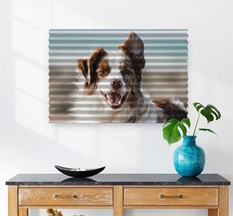 Show products in category Corrugated Iron Prints Picture for category Corrugated Iron Prints